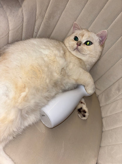 Interactieve Laser - Activeert Natuurlijk Jachtgedrag