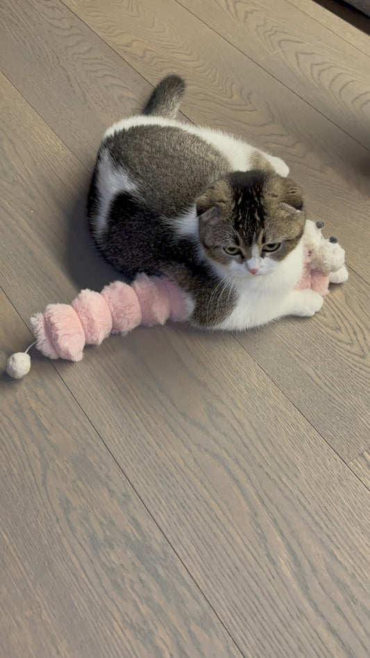 CaterPlay - Zacht kattenspeeltje