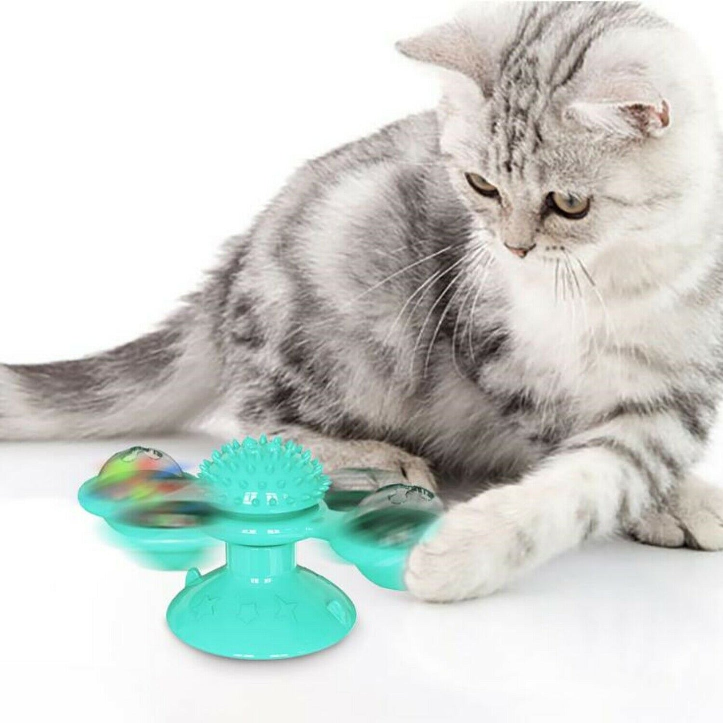 Interactieve Katten Spinner