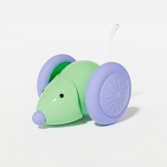 Interactief kattenspeeltje