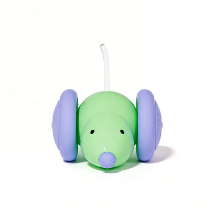 Interactief kattenspeeltje