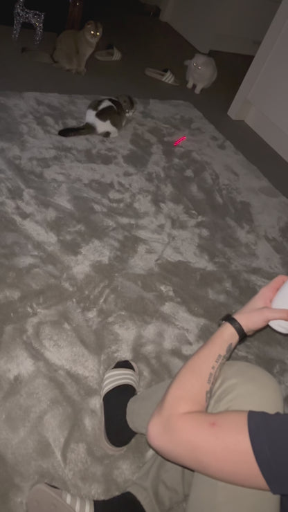 Interactieve Laser - Activeert Natuurlijk Jachtgedrag